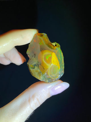 Raw Welo Opal from Ethiopia | Water Opal from Curious Muse Crystals Tagged with Ethiopian opal, flashy opal, hide-notify-btn, opal, rainbow, raw, Welo Opal