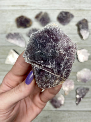 Lepidolite Mica Slices from Curious Muse Crystals Tagged with crystal, lepidolite, lithium, mica, purple, raw, raw mineral, slice