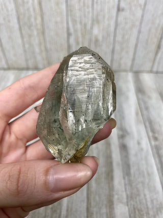 Nirvana Quartz with Green Chlorite Cluster | High-Altitude Himalayan Crystal from Curious Muse Crystals Tagged with chlorite inclusion, clear, green, green Quartz, hand mined crystal, hide-notify-btn, high altitude quartz, High vibration stone, Himalayan Quartz, manifesting Quartz, Nirvana Quartz
