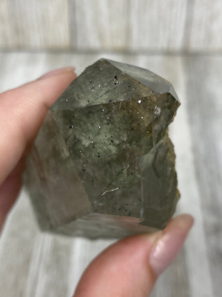 Nirvana Quartz with Green Chlorite Double Terminated Point | High-Altitude Himalayan Crystal from Curious Muse Crystals Tagged with chlorite inclusion, clear, green, green Quartz, hand mined crystal, hide-notify-btn, high altitude quartz, High vibration stone, Himalayan Quartz, manifesting Quartz, Nirvana Quartz