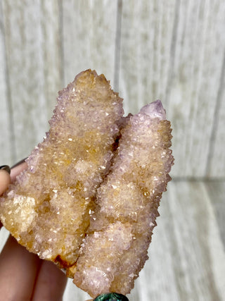 Spirit Quartz Cluster | South African Cactus Quartz from Curious Muse Crystals Tagged with cactus quartz, Crystal healing, genuine crystal, hide-notify-btn, Lilac quartz, pink, purple, purple Quartz, quartz, raw, reiki crystal, South Africa, Spirit quartz