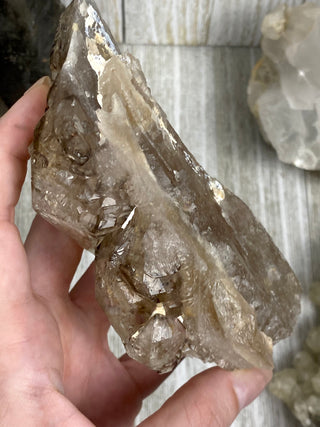 Elestial Smoky Quartz | Minas Gerais, Brazil from Curious Muse Crystals Tagged with Brazilian Quartz, brown, clear, elestial, Elestial Quartz, hide-notify-btn, self healed