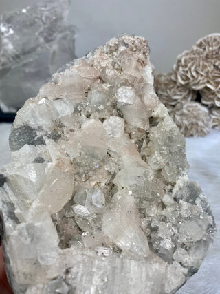 Apophyllite on Chalcedony with Pink Inclusions | India from Curious Muse Crystals Tagged with apophyllite, chalcedony, clear, hide-notify-btn, pink, raw, zeolite