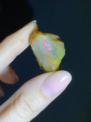 Raw Welo Opal from Ethiopia | Water Opal from Curious Muse Crystals Tagged with Ethiopian opal, flashy opal, hide-notify-btn, opal, rainbow, raw, Welo Opal
