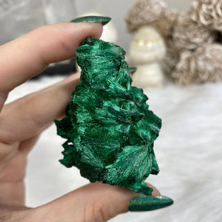 Velvet Malachite Cluster | Fibrous Green Copper Based Crystal from Curious Muse Crystals Tagged with Copper Stone, Crystal Healing, Dark Green Stone, Genuine Crystal, green, Hearth Chakra, hide-notify-btn, Malachite, Manifestation, Mineral Collection, Natural Mineral, Prosperity Wealth, Raw Mineral, Reiki Healing