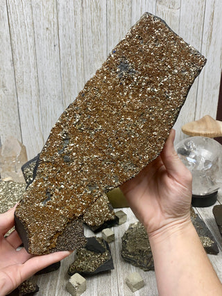 Pyrite on Shungite Raw Layered Plate | Brazil from Curious Muse Crystals Tagged with abundance, black, brazil, cleansing, gold, manifestation, purification, pyrite, shungite