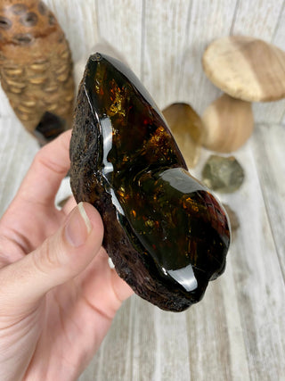 Lion's Mane Sumatran Amber | High Quality Collectors Grade Amber from Curious Muse Crystals Tagged with amber, brown, Crystal healing, fine mineral, fossil, fossilized amber, genuine crystal, hide-notify-btn, mineral specimen, real amber, sulfur, uv reactive