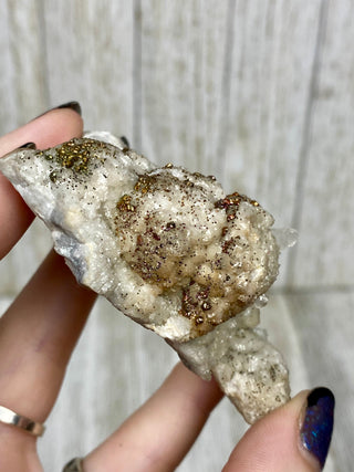 Calcite with Chalcopyrite | Cozamin Mine, Zacatecas, Mexico from Curious Muse Crystals Tagged with calcite, chalcopyrite, clear, fine mineral, gold, hide-notify-btn, mexico, raw