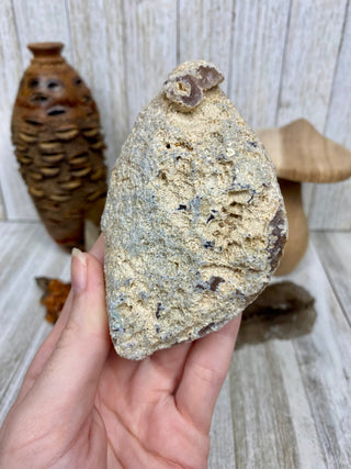 Fossil Ocean Creature Unique Cubic Structure from Curious Muse Crystals Tagged with fine mineral, florida, fossil, Fossil Coral, hide-notify-btn, orange, raw, red, Tampa Bay, USA, white