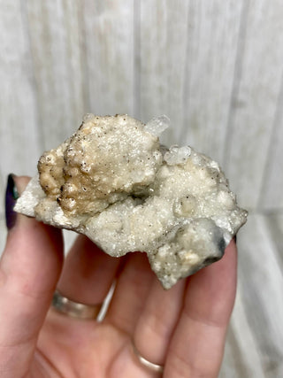 Calcite with Chalcopyrite | Cozamin Mine, Zacatecas, Mexico from Curious Muse Crystals Tagged with calcite, chalcopyrite, clear, fine mineral, gold, hide-notify-btn, mexico, raw