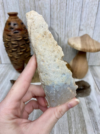 Fossil Ocean Creature Unique Arrow Shape from Curious Muse Crystals Tagged with fine mineral, florida, fossil, Fossil Coral, hide-notify-btn, orange, raw, red, Tampa Bay, USA, white