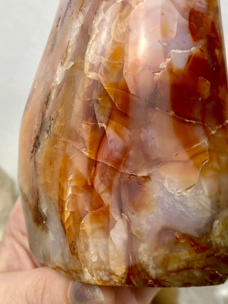 Carnelian Agate Freeform | Red Agate from Madagascar from Curious Muse Crystals Tagged with agate, carnelian, freeform, hide-notify-btn, love, madagascar, red, strength, willpower