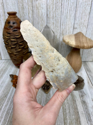 Fossil Ocean Creature Unique Arrow Shape from Curious Muse Crystals Tagged with florida, Fossil Coral, hide-notify-btn, orange, raw, red, Tampa Bay, USA, white