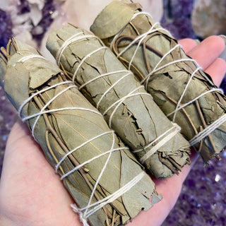 Eucalyptus Bundle | Connection & Cleansing from Curious Muse Crystals Tagged with eucalyptus, herb bundle, Smoke cleansing, smudge
