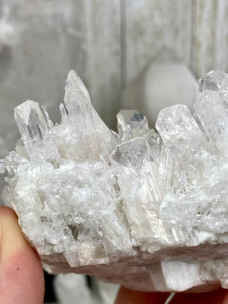 Danburite Raw Crystal Large Cluster | Caracas, Mexico from Curious Muse Crystals Tagged with clear, crown chakra, Crystal healing, danburite, hide-notify-btn, pink, raw, raw crystal