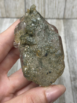 Nirvana Quartz with Green Chlorite Cluster | High-Altitude Himalayan Crystal from Curious Muse Crystals Tagged with chlorite inclusion, clear, green, green Quartz, hand mined crystal, hide-notify-btn, high altitude quartz, High vibration stone, Himalayan Quartz, manifesting Quartz, Nirvana Quartz