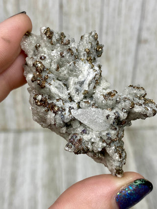 Calcite with Chalcopyrite | Cozamin Mine, Zacatecas, Mexico from Curious Muse Crystals Tagged with calcite, chalcopyrite, clear, fine mineral, gold, mexico, raw