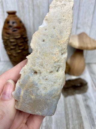 Fossil Ocean Creature Unique Arrow Shape from Curious Muse Crystals Tagged with florida, Fossil Coral, hide-notify-btn, orange, raw, red, Tampa Bay, USA, white