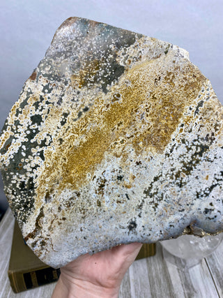 Ocean Jasper Slab | Pastel & Bubbly from Curious Muse Crystals Tagged with Crystal healing, drusy pocket, hide-notify-btn, jasper, Madagascar mineral, mineral collection, natural mineral, ocean jasper, Orbicular jasper, peace and calming, purple, reiki healing, slab, white