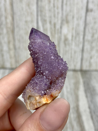 Deep Purple Spirit Quartz | South African Cactus Quartz from Curious Muse Crystals Tagged with cactus quartz, Crystal healing, genuine crystal, hide-notify-btn, Lilac quartz, pink, purple, purple Quartz, quartz, raw, reiki crystal, South Africa, Spirit quartz