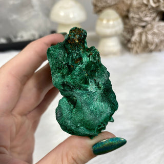 Velvet Malachite Cluster | Fibrous Green Copper Based Crystal from Curious Muse Crystals Tagged with Copper Stone, Crystal Healing, Dark Green Stone, Genuine Crystal, green, Hearth Chakra, hide-notify-btn, Malachite, Manifestation, Mineral Collection, Natural Mineral, Prosperity Wealth, Raw Mineral, Reiki Healing