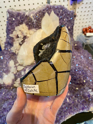 Septarian Cut Base Nodule with Clear Calcite | Madagascar from Curious Muse Crystals Tagged with aragonite, brown, calcite, limestone, Septarian, uv reactive, yellow