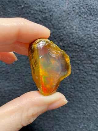 Raw Welo Opal from Ethiopia | Water Opal from Curious Muse Crystals Tagged with Ethiopian opal, flashy opal, hide-notify-btn, opal, rainbow, raw, Welo Opal