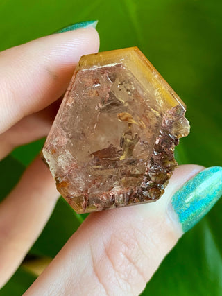 Dreamcoat Lemurian Generator - Semi-Polished Brazilian Tower Crystal from Curious Muse Crystals Tagged with clear, clear brazil quartz, dreamcoat lemurian, goethite rutile, hematite amethyst, hide-notify-btn, lemurian, lemurian generator, lemurian seed, purple, red, secondary growth, super seven, synergy seven, yellow