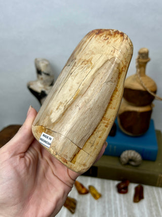 Petrified Wood Raw Display Piece