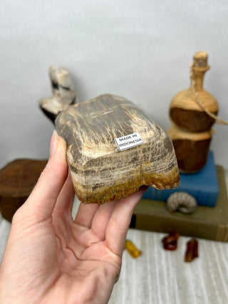 Petrified Wood Raw Display Piece