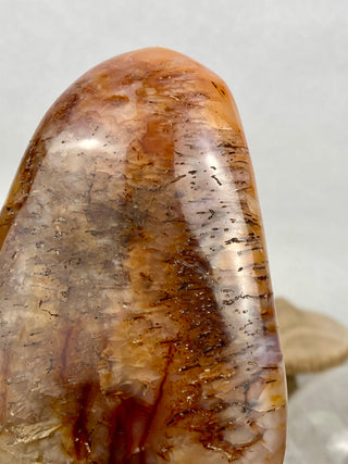Carnelian Agate Freeform | Red Agate from Madagascar from Curious Muse Crystals Tagged with agate, carnelian, freeform, hide-notify-btn, love, madagascar, red, strength, willpower