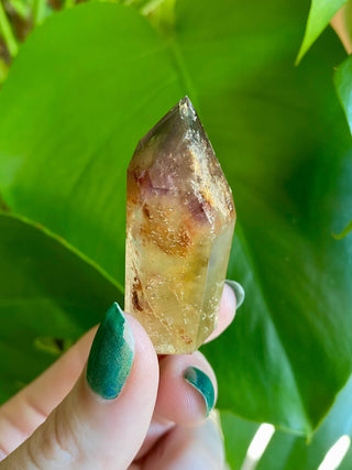 Dreamcoat Lemurian Generator - Polished Brazilian Tower Crystal from Curious Muse Crystals Tagged with clear, clear brazil quartz, dreamcoat lemurian, goethite rutile, hematite amethyst, hide-notify-btn, lemurian, lemurian generator, lemurian seed, polished, purple, red, secondary growth, super seven, synergy seven, tower, yellow