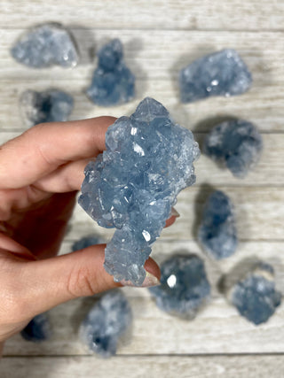 Celestite Raw Geode from Curious Muse Crystals Tagged with blue, celestite, crystal, genuine crystal, geode, raw, raw crystal
