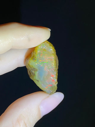 Raw Welo Opal from Ethiopia | Water Opal from Curious Muse Crystals Tagged with Ethiopian opal, flashy opal, hide-notify-btn, opal, rainbow, raw, Welo Opal