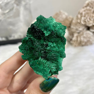 Velvet Malachite Cluster | Fibrous Green Copper Based Crystal from Curious Muse Crystals Tagged with Copper Stone, Crystal Healing, Dark Green Stone, Genuine Crystal, green, Hearth Chakra, hide-notify-btn, Malachite, Manifestation, Mineral Collection, Natural Mineral, Prosperity Wealth, Raw Mineral, Reiki Healing