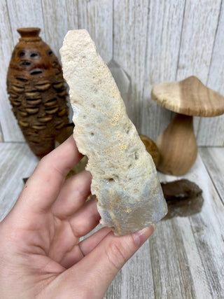Fossil Ocean Creature Unique Arrow Shape from Curious Muse Crystals Tagged with fine mineral, florida, fossil, Fossil Coral, hide-notify-btn, orange, raw, red, Tampa Bay, USA, white