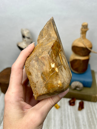Petrified Wood Raw Display Piece