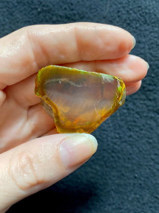 Raw Welo Opal from Ethiopia | Water Opal from Curious Muse Crystals Tagged with Ethiopian opal, flashy opal, hide-notify-btn, opal, rainbow, raw, Welo Opal