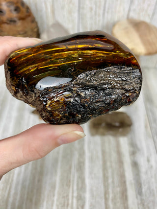 Lion's Mane Sumatran Amber | High Quality Collectors Grade Amber from Curious Muse Crystals Tagged with amber, brown, Crystal healing, fine mineral, fossil, fossilized amber, genuine crystal, hide-notify-btn, mineral specimen, real amber, sulfur, uv reactive