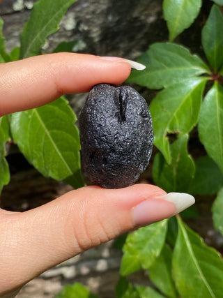Colombianite 27g Pseudo-Tektite Raw Specimen from Curious Muse Crystals Tagged with black, colombia, colombianite, hide-notify-btn, moldavite, obsidian, reiki healing, space crystal, tektite