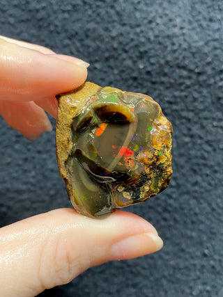 Raw Welo Opal from Ethiopia | Water Opal from Curious Muse Crystals Tagged with Ethiopian opal, flashy opal, hide-notify-btn, opal, rainbow, raw, Welo Opal