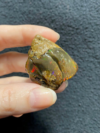 Raw Welo Opal from Ethiopia | Water Opal from Curious Muse Crystals Tagged with Ethiopian opal, flashy opal, hide-notify-btn, opal, rainbow, raw, Welo Opal