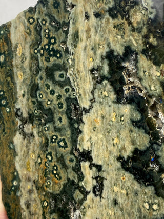 Ocean Jasper Slab from Curious Muse Crystals Tagged with Crystal healing, drusy pocket, hide-notify-btn, jasper, Madagascar mineral, mineral collection, natural mineral, ocean jasper, Orbicular jasper, peace and calming, purple, reiki healing, slab, white