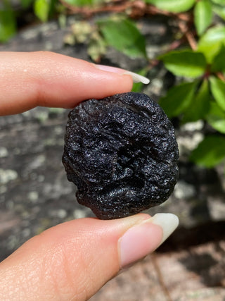 Colombianite 27g Pseudo-Tektite Raw Specimen from Curious Muse Crystals Tagged with black, colombia, colombianite, hide-notify-btn, moldavite, obsidian, reiki healing, space crystal, tektite