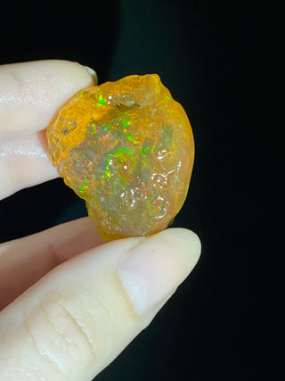 Raw Welo Opal from Ethiopia | Water Opal from Curious Muse Crystals Tagged with Ethiopian opal, flashy opal, hide-notify-btn, opal, rainbow, raw, Welo Opal