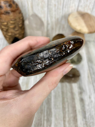 Lion's Mane Sumatran Amber | High Quality Collectors Grade Amber from Curious Muse Crystals Tagged with amber, brown, Crystal healing, fine mineral, fossil, fossilized amber, genuine crystal, hide-notify-btn, mineral specimen, real amber, sulfur, uv reactive