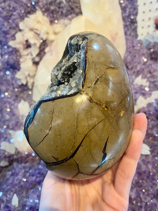 Septarian Nodule Egg with Calcite | Madagascar from Curious Muse Crystals Tagged with aragonite, black, brown, calcite, limestone, Septarian, uv reactive, yellow