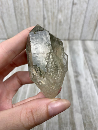 Nirvana Quartz Self Healed Double Termination with Green Chlorite | High-Altitude Himalayan Crystal from Curious Muse Crystals Tagged with chlorite inclusion, clear, green, green Quartz, hand mined crystal, hide-notify-btn, high altitude quartz, High vibration stone, Himalayan Quartz, manifesting Quartz, Nirvana Quartz