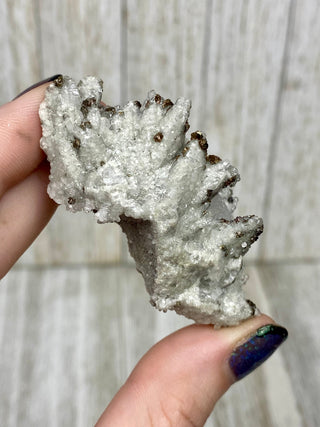 Calcite with Chalcopyrite | Cozamin Mine, Zacatecas, Mexico from Curious Muse Crystals Tagged with calcite, chalcopyrite, clear, fine mineral, gold, mexico, raw