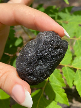 Colombianite 32g Pseudo-Tektite Raw Specimen from Curious Muse Crystals Tagged with black, colombia, colombianite, hide-notify-btn, moldavite, obsidian, reiki healing, space crystal, tektite